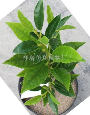 Simulation camellia false leaves single branch large white tea leaves green tea works black tea DIY screen decoration