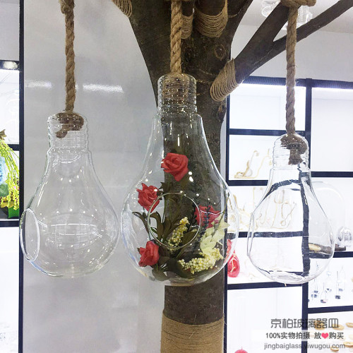 Creative Succulent Glass Flowerpot Hanging Transparent Glass Vase Small Infusion Bottle DIY Micro Landscape