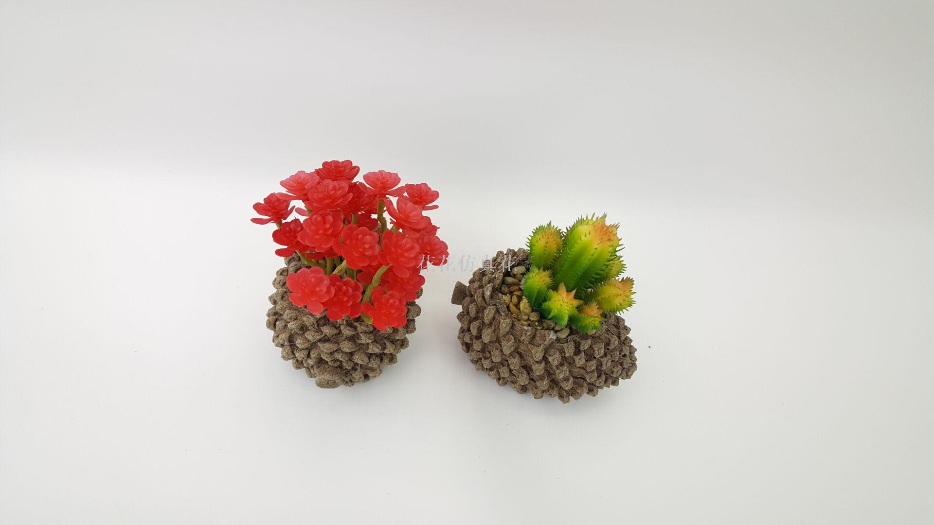 热销松果仿真盆景多肉多款混详情5