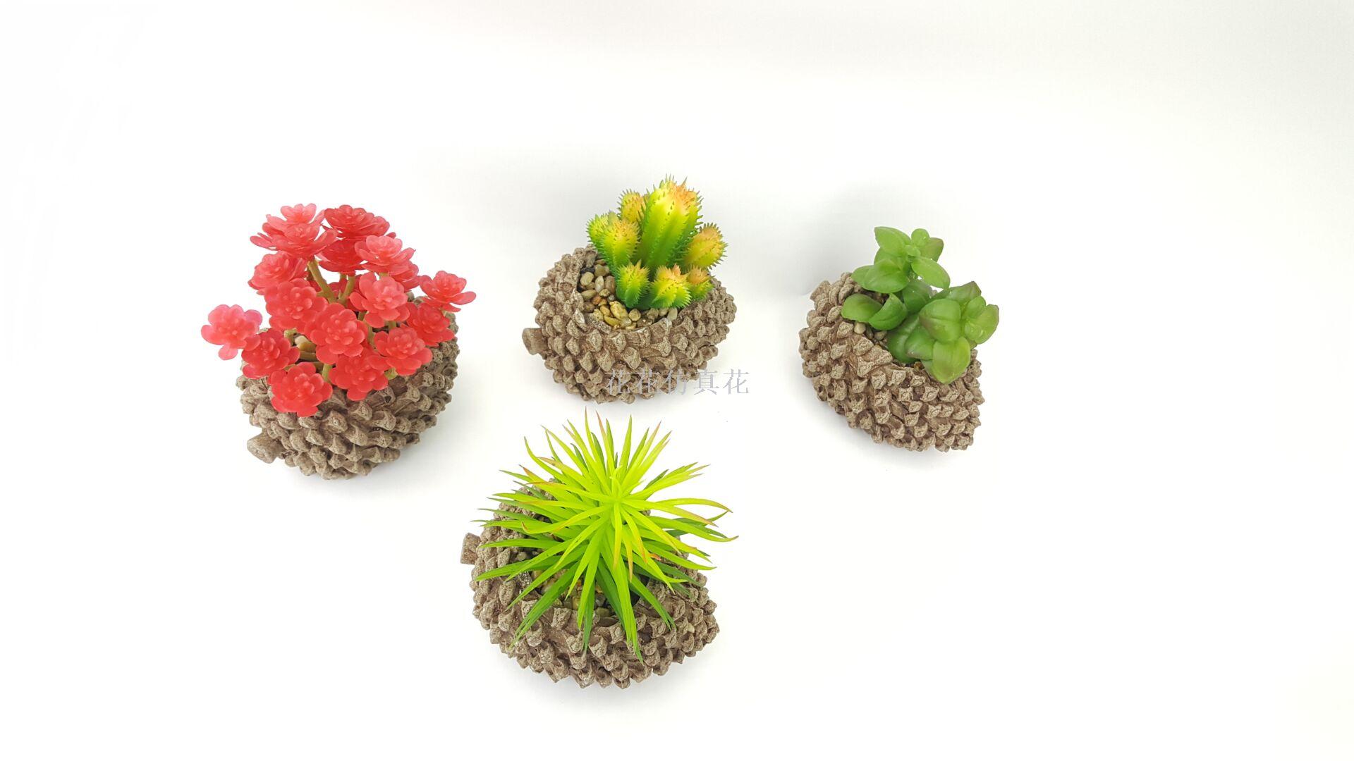 热销松果仿真盆景多肉多款混详情4