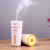 Free Cup of humidifier luxury indoor spray moisturizing car air humidification