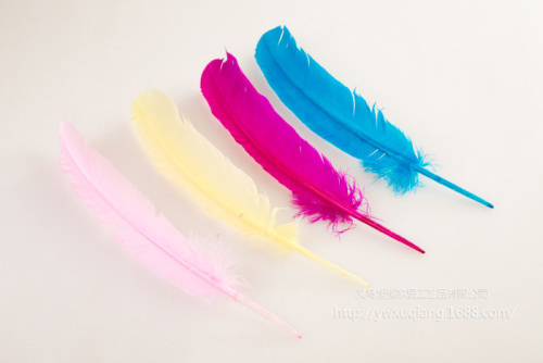 Supply Craft Turkey Feather Feather Wholesale Yiwu DIY Feather Turkey Feather Big Floating Feather