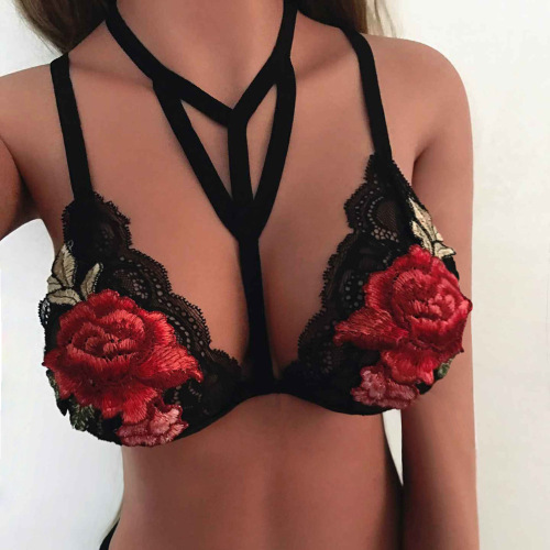 European and American Eaby Amazon AliExpress New Sexy Lace Embroidery Flower Bra Underwear