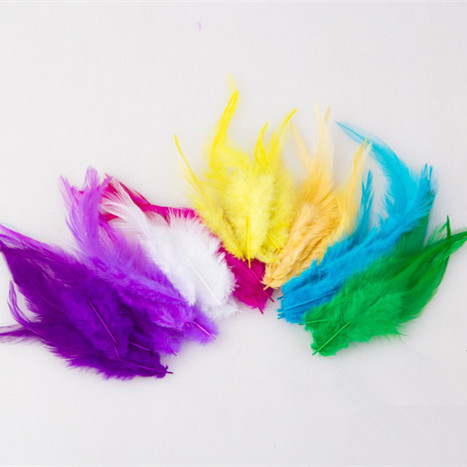 factory direct sales spot supply colorful chicken feather 4-6 pointed hair white tip diy ornament clothing