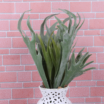 [室内装饰酒店装修园艺装饰节日装饰仿真植物大号鹿角叶] 室内装饰酒店装修园艺装饰节日装饰仿真植物大号鹿角叶