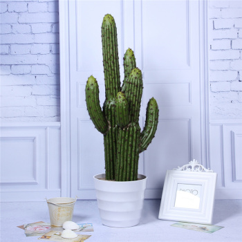 软装家装园林装饰酒店餐厅摆件仿真沙漠植物盆栽