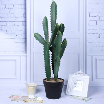 室内装饰软装园林装饰摆件仿真仙人柱盆栽多肉