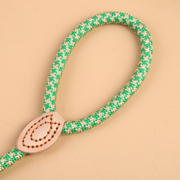 泰迪萨摩耶小型犬项圈幼犬项圈遛狗绳宠物用品