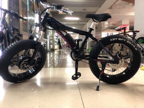 New Snow Electric Bicycle 20-Inch Aluminum Alloy