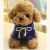 Duoai Mini Cuddly Plush Dog Toy Stuffed Animal Doll With Sweater 