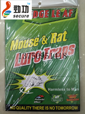 mouse trap aThe rats were protected by the mouse rat glue trap.