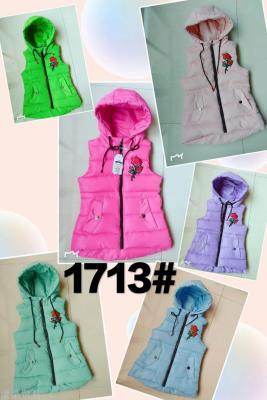 Baby girl child maggi autumn winter hooded child cotton clip thickening middle child winter clothing
