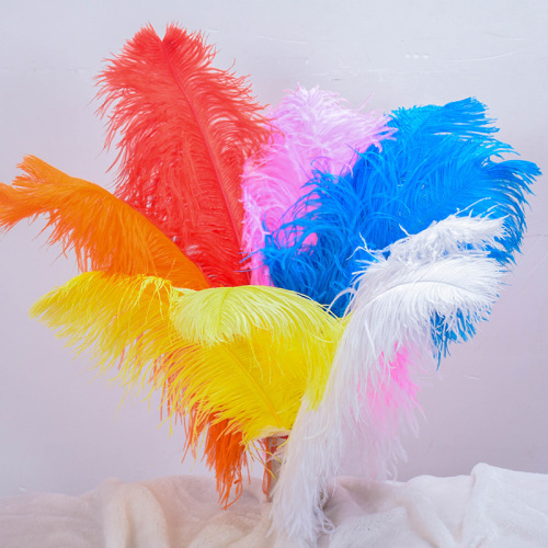 Factory Direct Sales * Ostrich Feather 70-75cm * DIY Wedding Feather， Hotel Decorative Feather Stage Performance