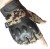 Special tactics gloves half refer to outdoor sports training army fan military parade gloves