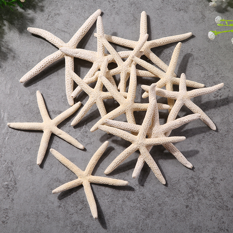 天然贝壳五指海星摆件装饰工艺品配件水族箱鱼缸造景观家居地中海