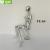 Xufeng direct - sale electroplating silver woman model