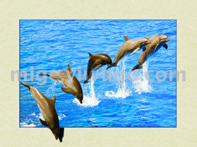 高清5D立体画 魔幻画 30*40厘米