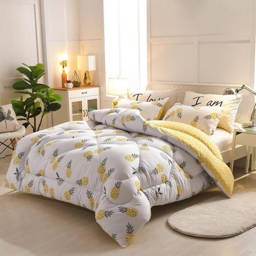 2021 Hot Brushed Printed Thermal Winter Duvet Warm down Quilt Single Double Autumn and Winter Quilt Quilt