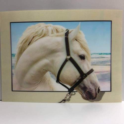 Factory Direct Sales Personalized Customized Three-Dimensional Stereograph HD Pet 5D Handcrafted Painting 30 X40 Animal Horse
