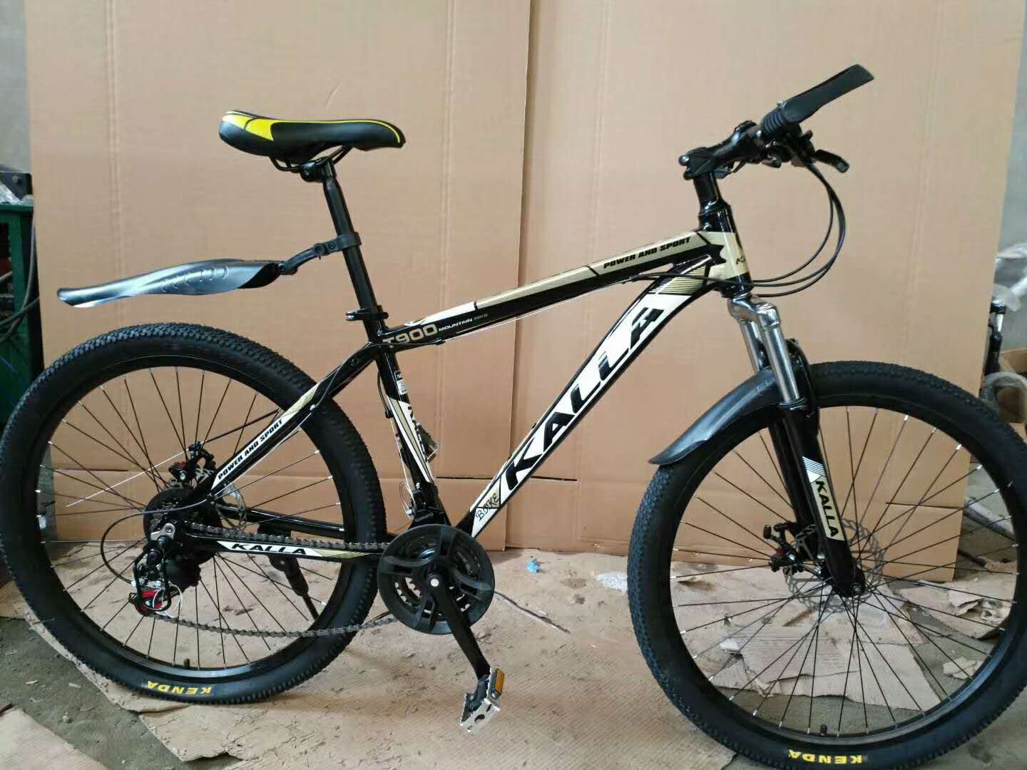bike size 21