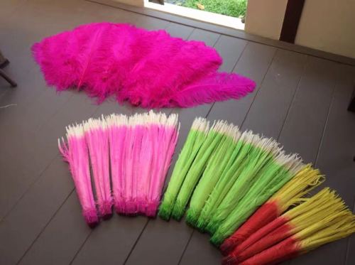 factory direct sales in stock wholesale pheasant feather two-color wedding accessories feather decoration