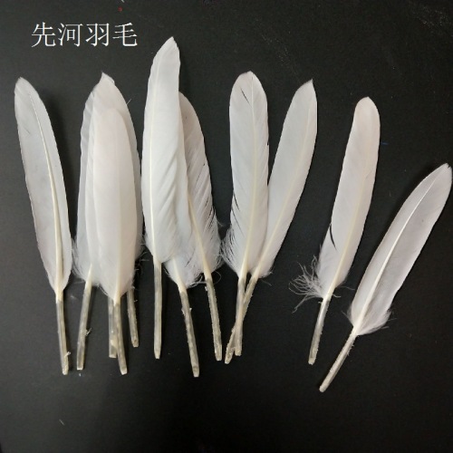 factory direct sales goose feather small straight knife feather jewelry crafts accessories knife hair angel wings feather
