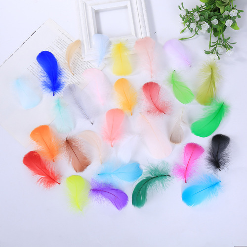 Factory Direct Sales High Quality Swan Hair DIY Color Small Floating Feather Stage Clothing Decoration Accessories Feather Wholesale