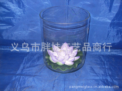 批发透明玻璃水培    厂家直销透明玻璃水培    水培用品