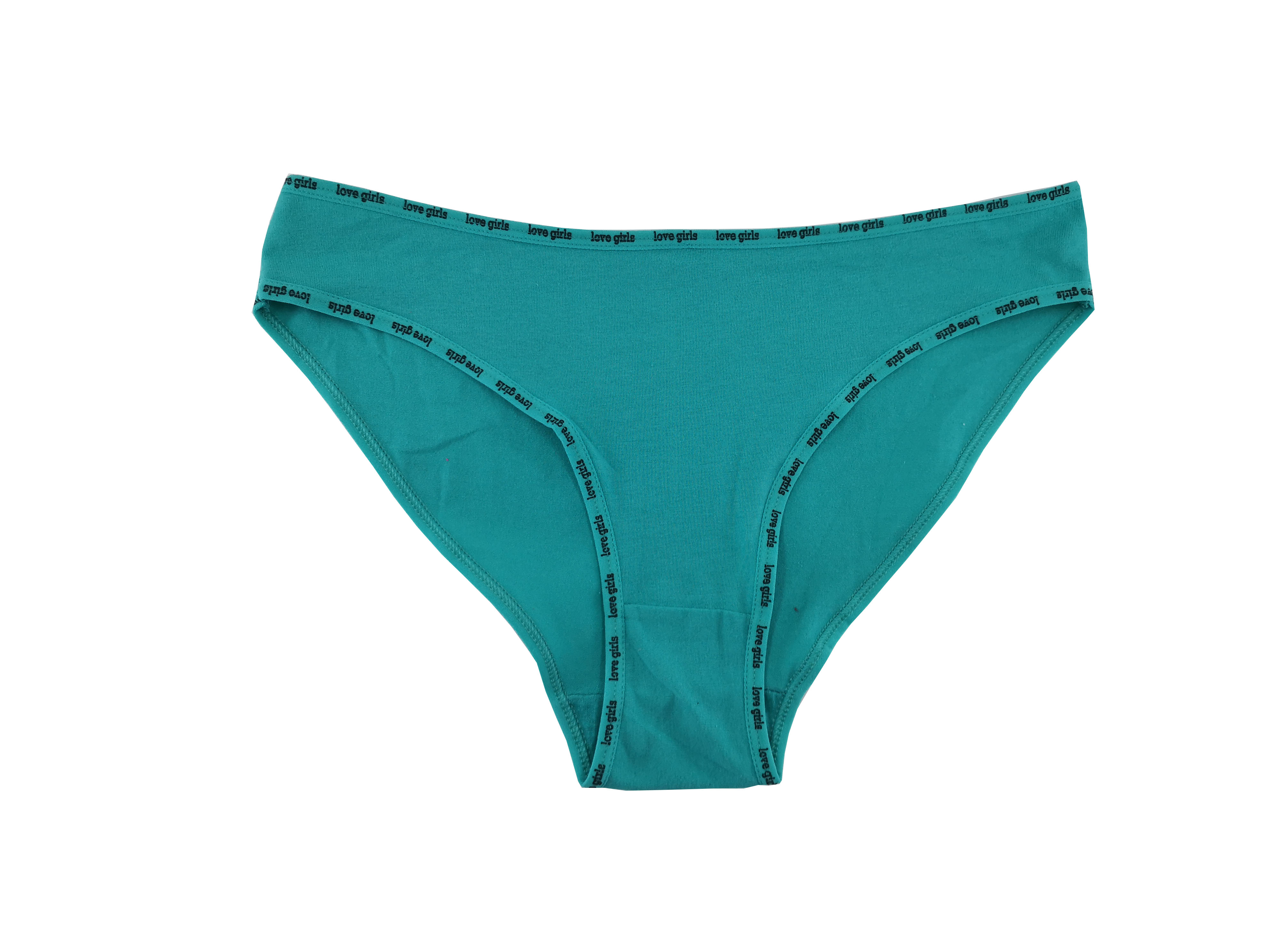 出口北美洲加拿大外贸原单三角女士内裤 订单跨境文胸内衣 67210