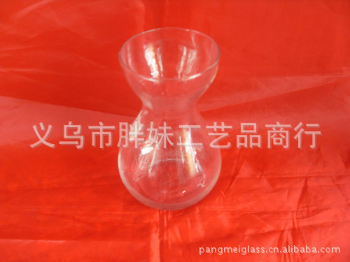 批发风信子  库存风信子  风信子专用瓶