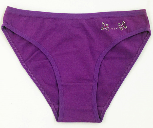 烫钻三角女士内裤 东南亚老挝订单文胸内衣 多色多码 60002