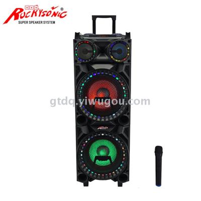 210A double 10-inch pull rod battery sound stage speaker with two microphone LED lights