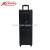 210A double 10-inch pull rod battery sound stage speaker with two microphone LED lights