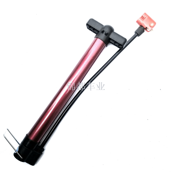 electric cycle pump