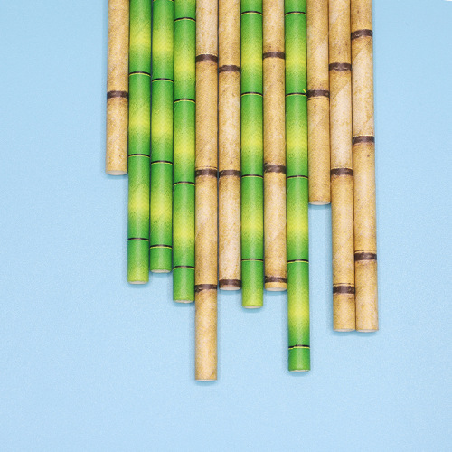 New Bamboo Disposable Multi-Purpose Eco Paper Straw