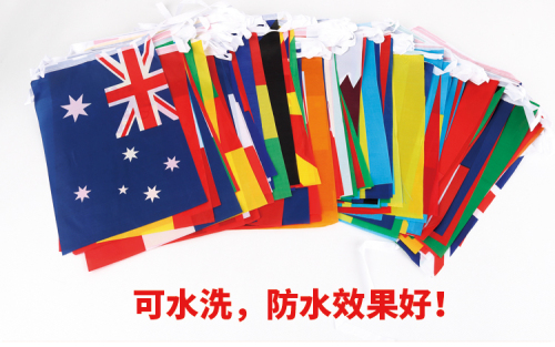 No. 8 Foreign String Flags 