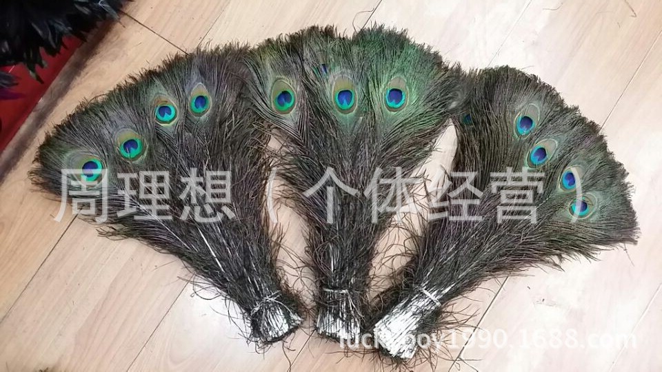产地货源 精选特大眼睛孔雀毛 60-70cm  专业分拣  插花礼品盒