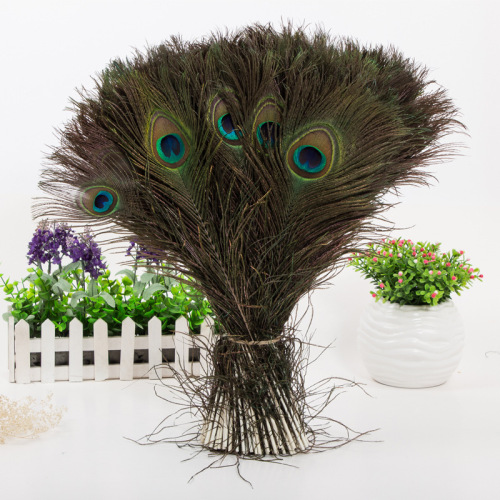 origin supply fine pick 25-30cm middle eye peacock fur flower arrangement gift box feather diy