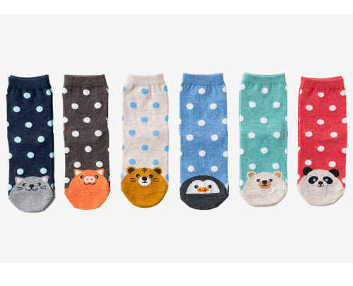 Amazon Hot Women‘s Socks Dots Hot Selling Pig Jacquard All-Match Deodorant Fall New Socks Factory Wholesale