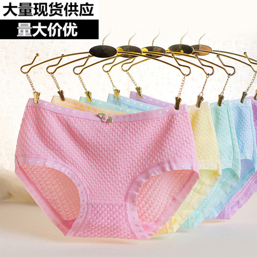 factory direct briefs wholesale sexy candy color women‘s breathable low waist bubble cotton girl‘s underwear