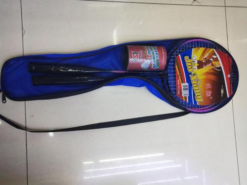 Jiaxiang Brand Low-Grade Badminton Racket