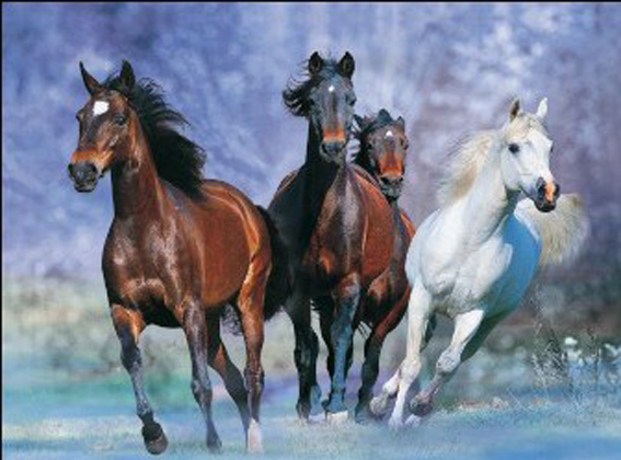 3D画，5D画。立体画