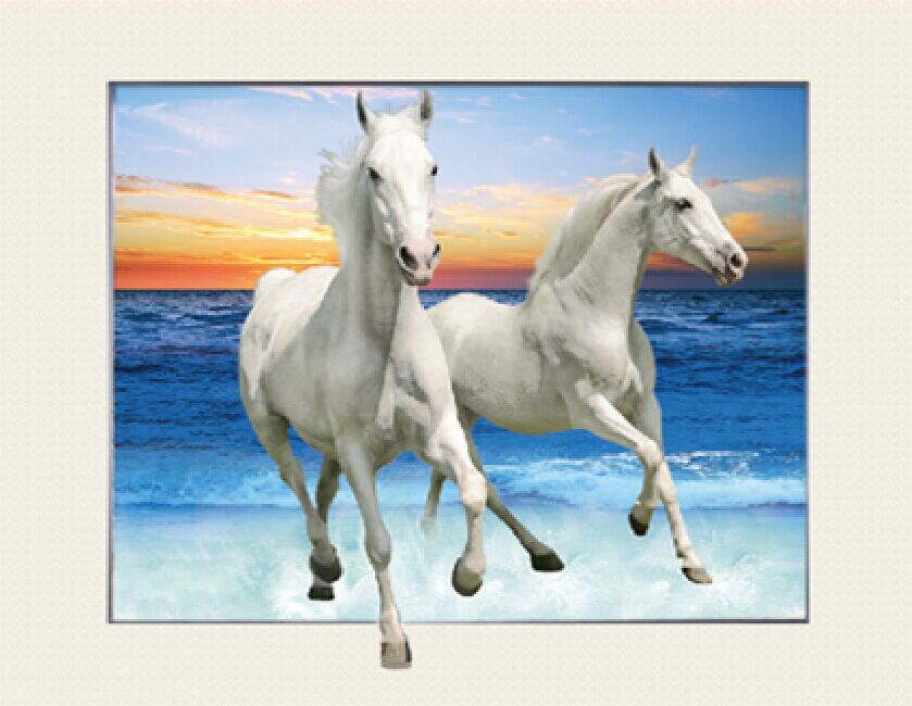 5D画，3D画，三维立体画，装饰画