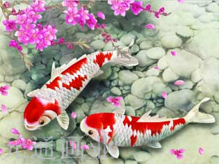 立体画，3D画，5D画，三维立体画