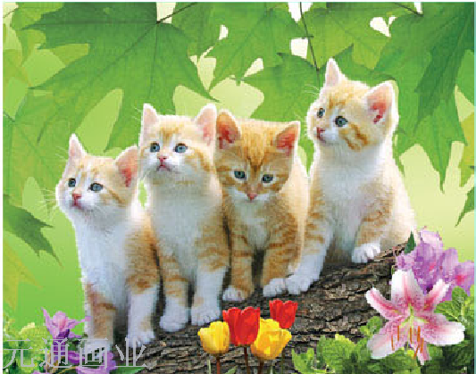 3D画，5D画，三维立体