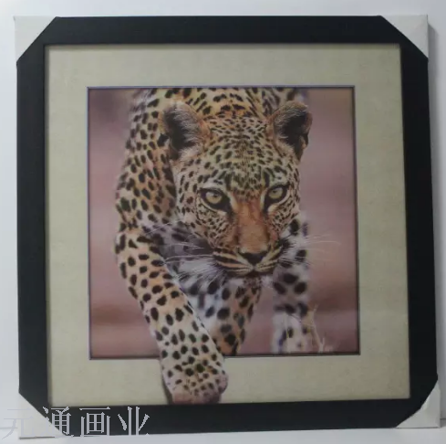 立体画，3D画，5D画