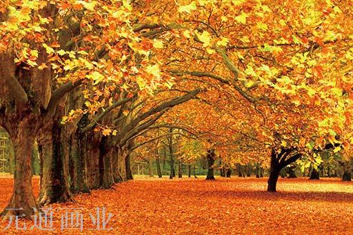 3D画，5D画，立体画