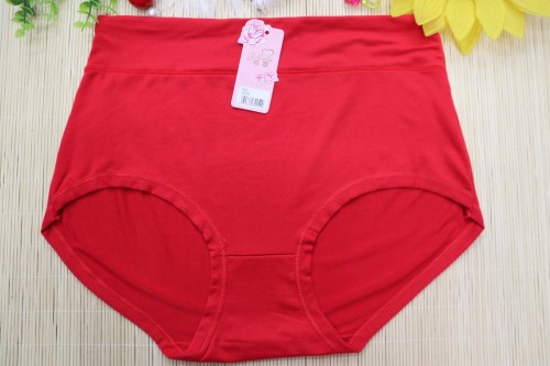 Women‘s Large Design Soft and Comfortable Milk Fiber Panties Wholesale