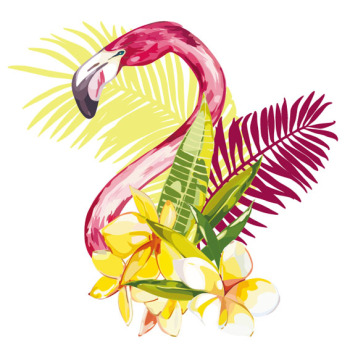 2019？？？？？？T？？¤？？？？？°è？±？？μ？？？？？？？？ˉ？？±？？¨？？&copy;？？ˉ？？？？？？？？-è？？？？°？？？？？？？？？？？？ D-1 