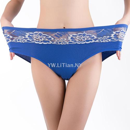 Plus-Sized Version Foreign Trade in Stock Women‘s Underwear Syria Middle East Women‘s Bra Underwear Panties 3XL Mommy‘s Pants